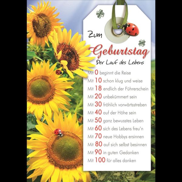 Geburtstag DIN A4 Glückwunschkarte mit Umschlag Sonnenblumen und Marienkäfer XXL-Karte