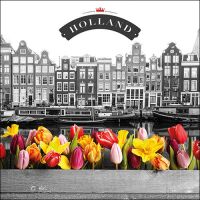 Servietten Lunch 33x33cm 20 Servietten Tulpen Holland...