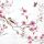 Cocktail Servietten 25 x 25 cm 3-lagig 20 Servietten Bird & Blossom White FSC Mix Vögel und Blüte weiss