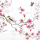 Cocktail Servietten 25 x 25 cm 3-lagig 20 Servietten Bird & Blossom White FSC Mix Vögel und Blüte weiss