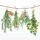 Cocktail Servietten 25 x 25 cm 3-lagig 20 Servietten Fresh Herbs FSC Mix Frische Kräuter