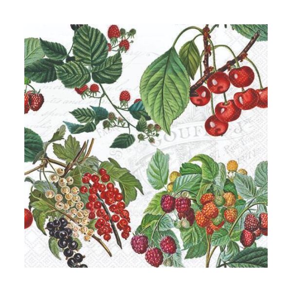 A Cocktail Servietten 25 x 25 cm 3-lagig 20 Servietten Fresh Fruits FSC Mix Frisches Obst