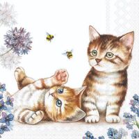 Cocktail Servietten 25 x 25 cm 3-lagig 20 Servietten Cats...