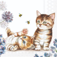 Cocktail Servietten 25 x 25 cm 3-lagig 20 Servietten Cats...