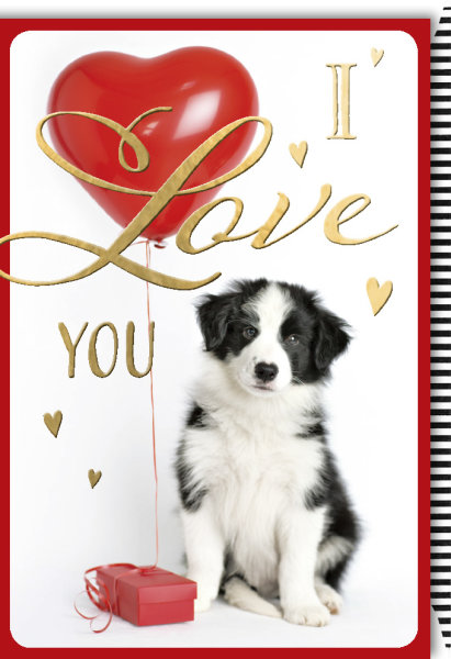 Allgemeine Wünsche - Glückwunschkarte im Format 11,5 x 17 cm mit Umschlag - Hund mit Herz-Luftballon - Verlag Dominique