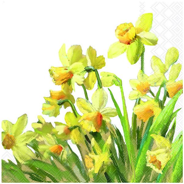 Servietten Lunch 33 x 33 cm 3-lagig 20 Servietten Golden Daffodils goldene Narzissen