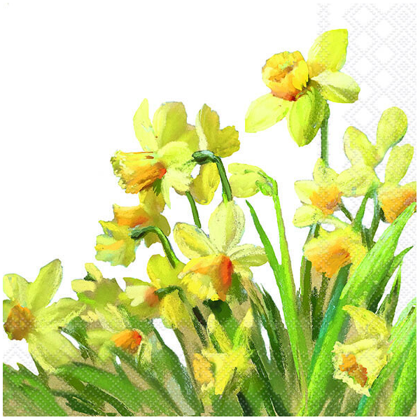 Servietten Lunch 33 x 33 cm 3-lagig 20 Servietten Golden Daffodils goldene Narzissen
