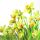 Servietten Lunch 33 x 33 cm 3-lagig 20 Servietten Golden Daffodils goldene Narzissen