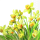 Servietten Lunch 33 x 33 cm 3-lagig 20 Servietten Golden Daffodils goldene Narzissen