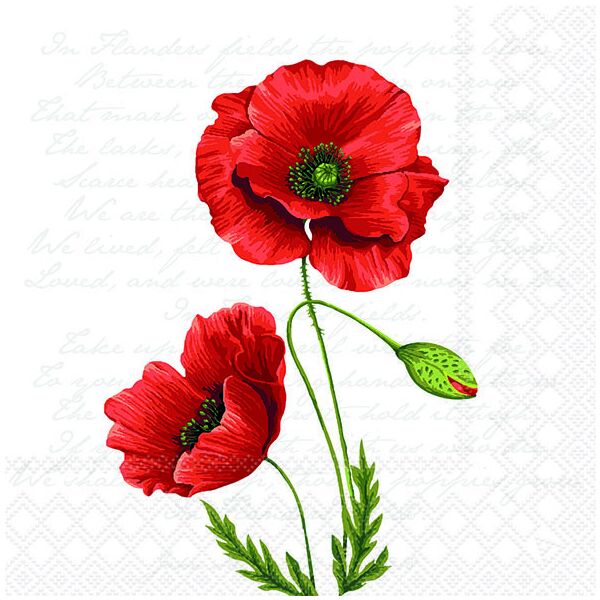 Servietten Lunch 33 x 33 cm 3-lagig 20 Servietten Proud Poppy stolzer Klatschmohn