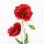 Servietten Lunch 33 x 33 cm 3-lagig 20 Servietten Proud Poppy stolzer Klatschmohn