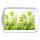 Tray Melamine Tablett 13 x 21 cm Golden Daffodils goldene Narzissen