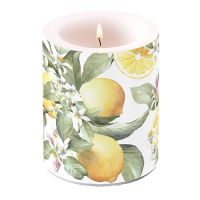 A Kerze gross Candle Big Format: Ø 12 cm x 10 cm 1...