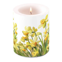 A - Kerze gross - Golden Daffodils - Osterglöckchen