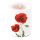 A Kerze gross Candle Big Format: Ø 12 cm x 10 cm 1 Kerze pro Packung Big Proud Poppy Mohnblume