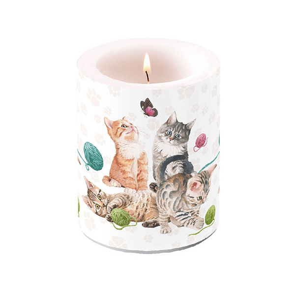 Kerze gross Candle Big Format: Ø 12 cm x 10 cm 1 Kerze pro Packung Playing Kitten spielende Kätzchen