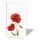 Taschentücher 21,5 x 22 cm 4-lagig á 10 Stück pro Packung Stolzes Klatschmohn