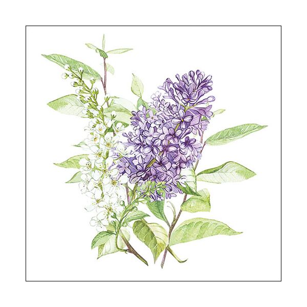 Servietten Lunch Flieder Blume Lilac White 33x33cm 20 Servietten