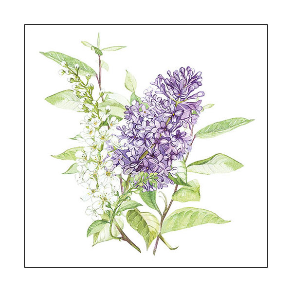 Servietten Lunch Flieder Blume Lilac White 33x33cm 20 Servietten