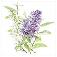 Servietten Lunch Flieder Blume Lilac White 33x33cm 20...