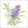Servietten Lunch Flieder Blume Lilac White 33x33cm 20 Servietten