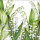 Servietten Lunch – Napkin Lunch – Format: 33 x 33 cm – 3-lagig – 20 Servietten pro Packung - Sweet Lily – Lilie - Ambiente