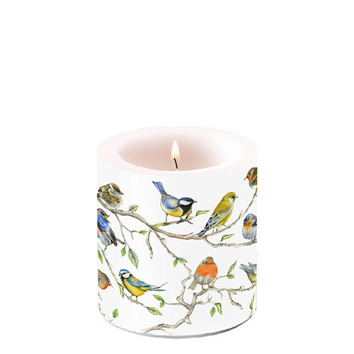 Kerze klein – Candle small – Format: Ø 7,5 cm x 9 cm – Brenndauer: 35 Std. - Birds Meeting – Vogeltreffen