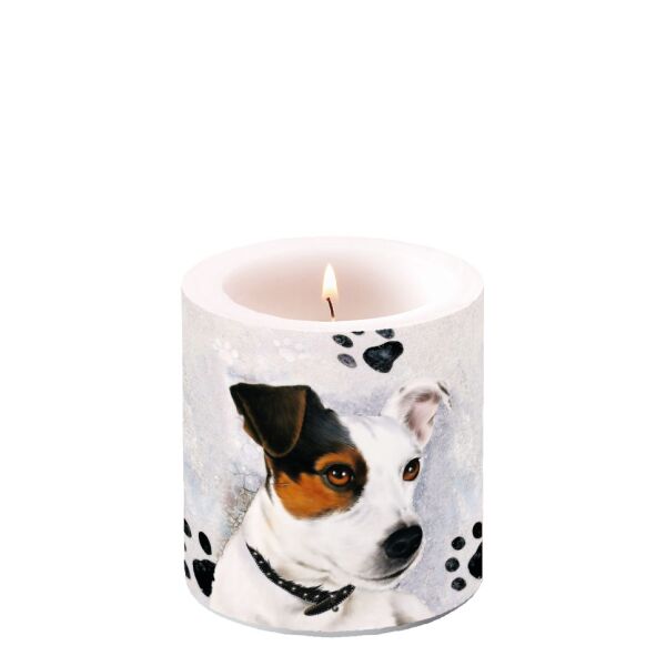 Kerze klein Candle small Format: Ø 7,5 cm x 9 cm 1 Kerze pro Packung Jack Russel