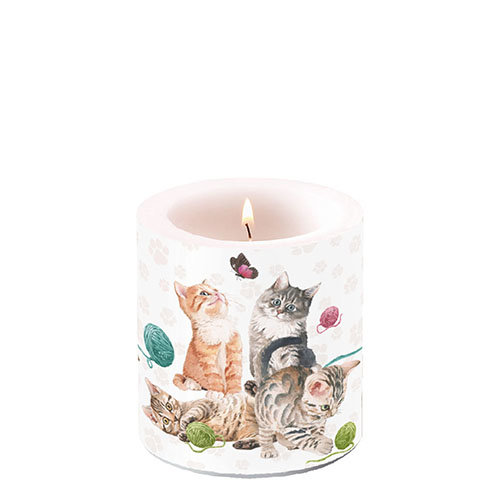 Kerze klein – Candle small – Format: Ø 7,5 cm x 9 cm – Brenndauer: 35 Std. - 1 Kerze pro Packung - Playing Kitten – spielende Kätzchen