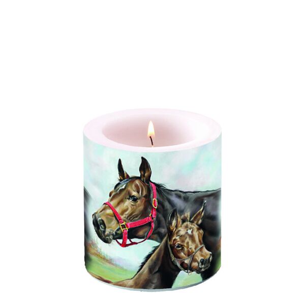 A Kerze klein Candle small Format: Ø 7,5 cm x 9 cm 1 Kerze pro Packung Horse Love Pferdeliebe