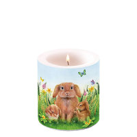 A - Ostern - Kerze klein – Candle small –...
