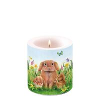 A Ostern Kerze klein Candle small Format: Ø 7,5 cm...
