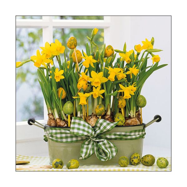 Ostern Servietten Lunch Napkin Lunch Format: 33 x 33 cm 3-lagig 20 Servietten  Daffodils FSC Mix Narzissen und Eier