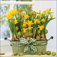 Ostern Servietten Lunch Napkin Lunch Format: 33 x 33 cm...