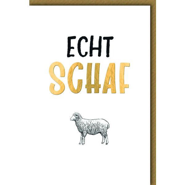 Allgemeine Wünsche Glückwunschkarte mit Umschlag Echt Schaf