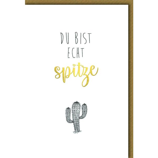 Allgemeine Wünsche Glückwunschkarte mit Umschlag Du bist spitze Kaktus