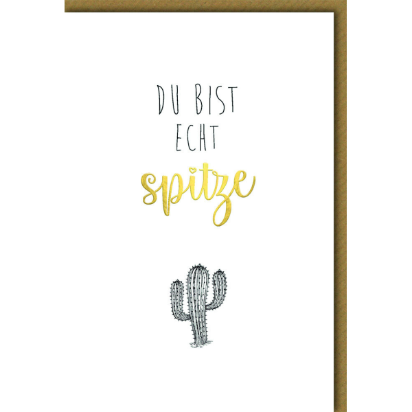 Allgemeine Wünsche Glückwunschkarte mit Umschlag Du bist spitze Kaktus