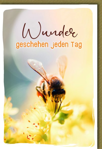 Allgemeine Wünsche - Glückwunschkarte im Format 11,5 x 17 cm mit Umschlag - Nahaufnahme Biene - Verlag Dominique