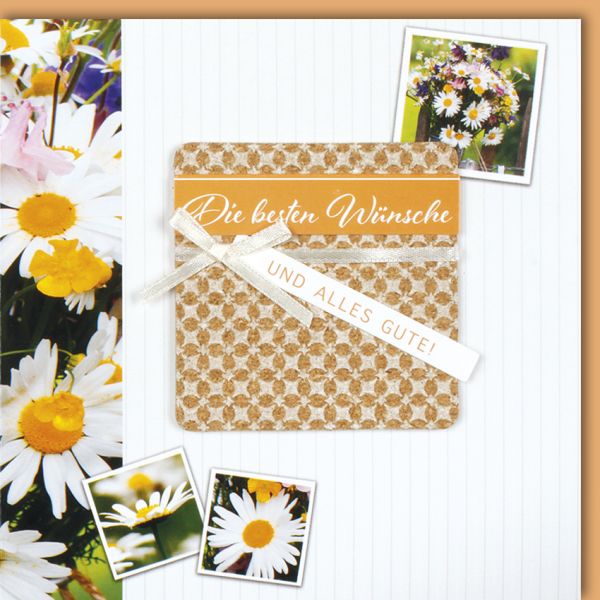 Geburstag CraftArt Quadratische Glückwunschkarte mit Umschlag Margeriten Beste Wünsche Alles Gute