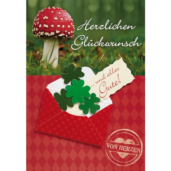 Allgemeine Wünsche Fliegenpilz Glückwunschkarte mit Umschlag