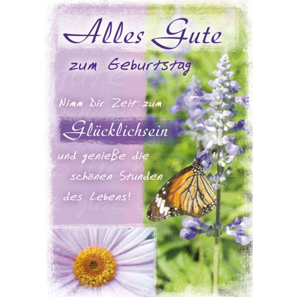Geburtstagskarte Glückwunschkarte mit Umschlag Alles Gute zum Geburtstag Schmetterling und Spruch