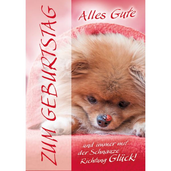 Perleberg-751-0134 Glückwunschkarte im Format 11,6 x 16,6 cm mit Briefumschlag - Anlass/Spruch: ZUM GEBURTSTAG Alles Gute und immer mit der Schnauze Richtung Glück!