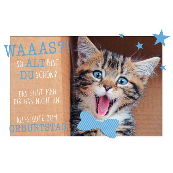 Alles Gute Zum Geburtstag Tier Lustig