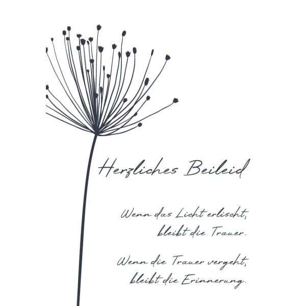 Trauer Kondolenz Beileidskarte mit Briefumschlag Pusteblume Herzliches Beileid Licht erlischt