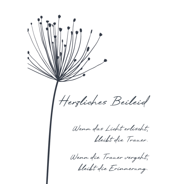 Trauer Kondolenz Beileidskarte mit Briefumschlag Pusteblume Herzliches Beileid Licht erlischt