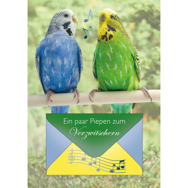 Perleberg-740-0008- Glückwunschkarte im Format 21x 29,7 cm mit Briefumschlag - Anlass/Spruch: Ein paar Piepen zum Verzwitschern