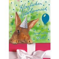 Perleberg-740-0013- Glückwunschkarte im Format 21x...