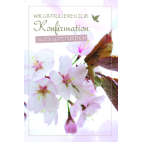 AV Konfirmation Magnolien Taube Wir gratulieren...