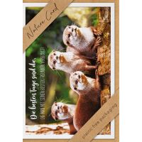 Allgemeine Wünsche Nature Cards unverpackte Glückwunschkarte mit Umschlag Otter