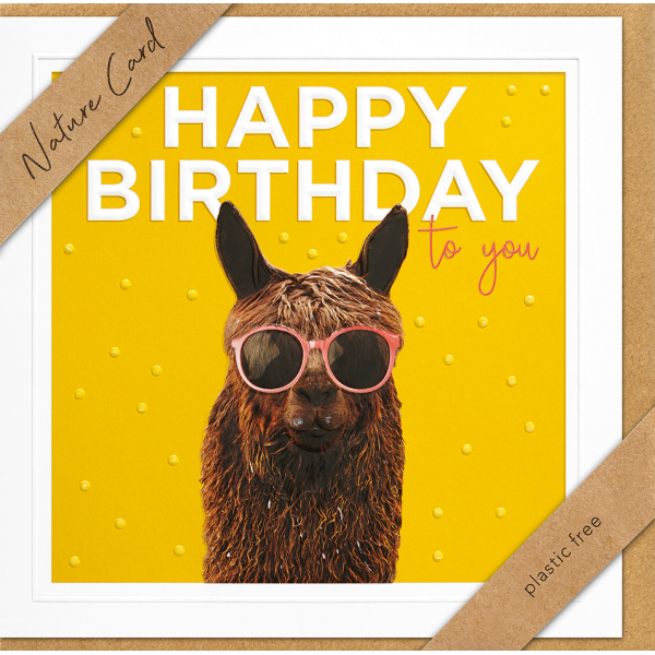 Geburtstag – Nature Cards – unverpackt - Glückwunschkarte im Format 15,5 x 15,5 cm mit Briefumschlag – Lama